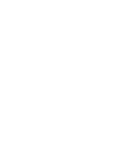 DSA_White_logo